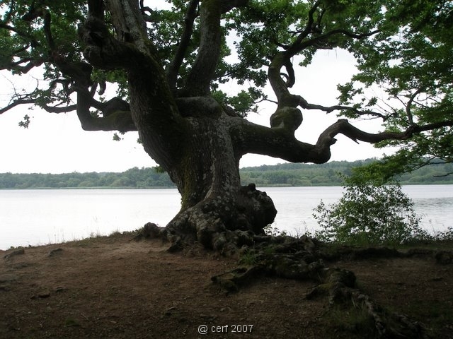 2007 05 Séjour en Brenne 036